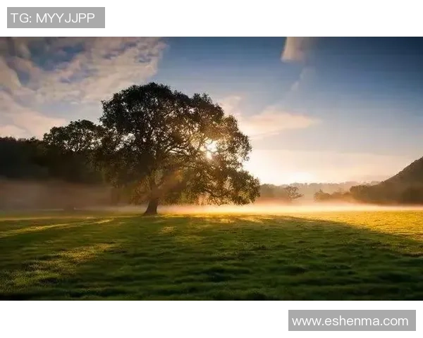 张娜的足球人生深度对话：从绿茵场到人生舞台的精彩旅程